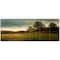 Designart - Beautiful Sunrise in the farm - Landscape Canvas Art Print